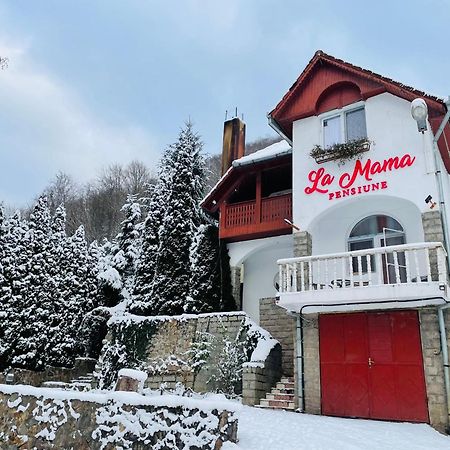 Hotel La Mama Pietroasa  Zewnętrze zdjęcie